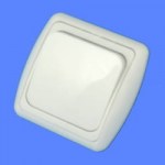 Выключатель 1 клавишный скрытой проводки С16-003 белый белая рамка с индик Дельта